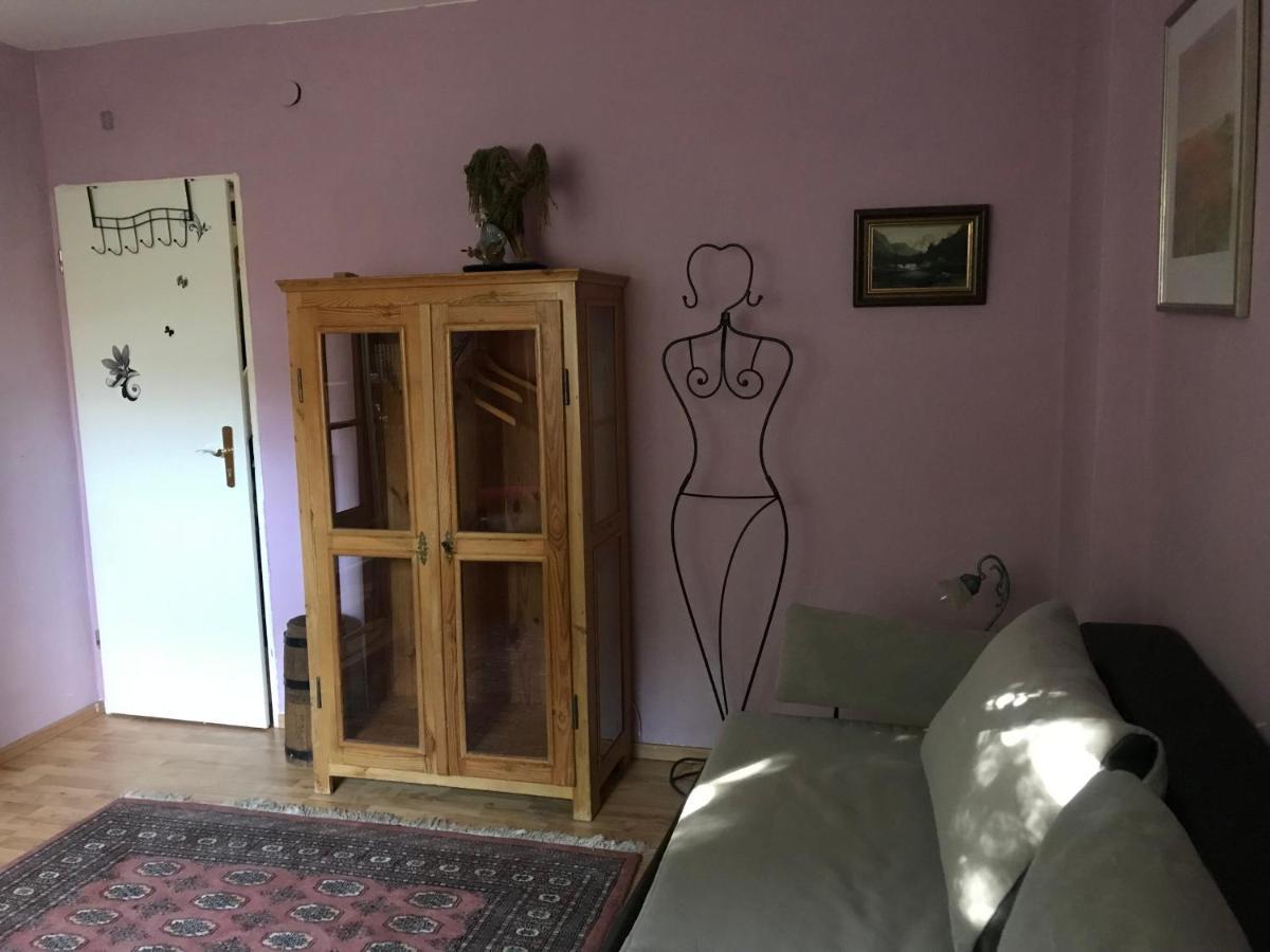 Ferienzimmer Rogi راينهاريدتسهاوزن المظهر الخارجي الصورة